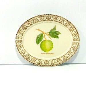 Vintage Wedgwood Sarah’s Garden Queensware Small Oval Butter Plate 6”